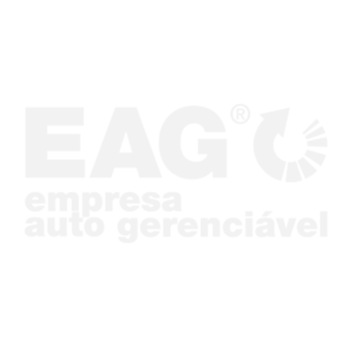 EAG - Empresa auto gerenciado